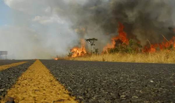 Entrevias registra aumento de 95% nos casos de queimadas às margens de rodovias