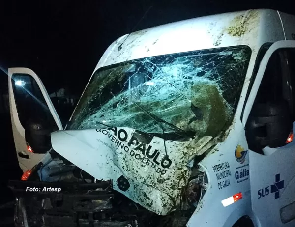 Ambulância que transportava pacientes para hospitais em Marília atropela e mata cavalo