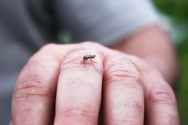 Dengue: Marília chega a cinco mortes neste ano e tem mais de 3 mil casos confirmados