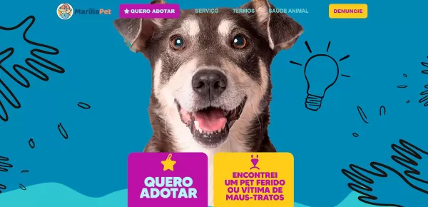 Prefeitura de Marília lança site para incentivar a doação de animais