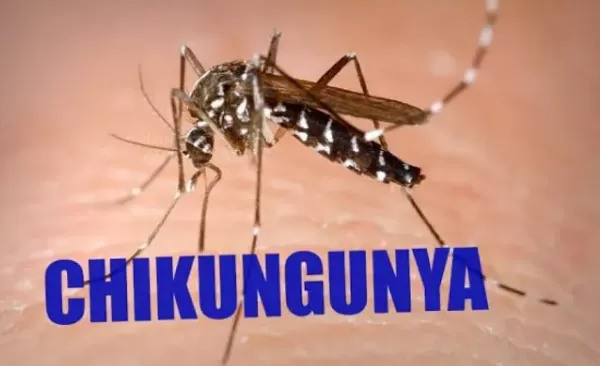 Cidade da região confirma primeira morte por chikungunya neste ano