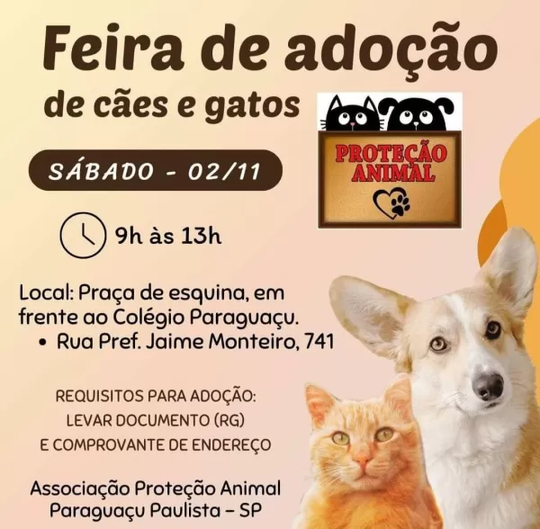 Paraguaçu Paulista realiza feira de adoção de cães e gatos neste sábado