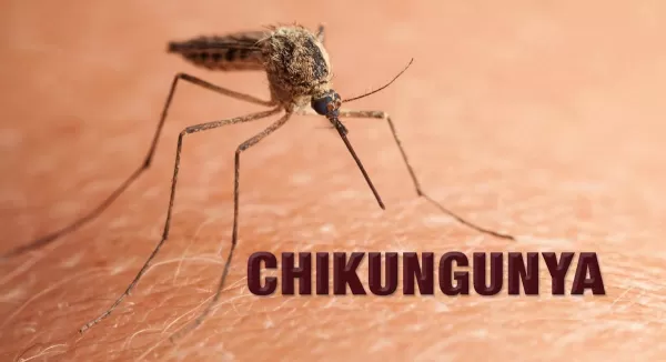 Tupã confirma mais cinco casos de chikungunya. Agora, são 72 vítimas desde o começo do ano