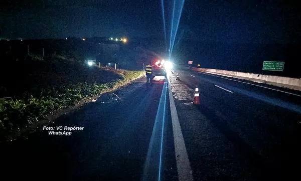 Pedestre morre atropelado na rodovia SP-294