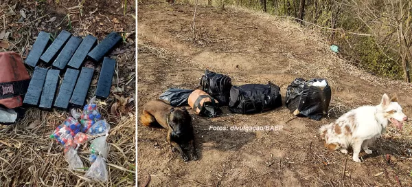 Operação da DISE e do BAEP apreende drogas em Marília