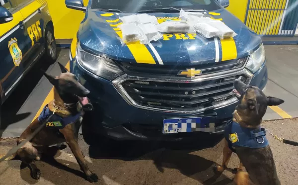 Mulher garante que transportava chá a pedido do primo. Mas, era haxixe!