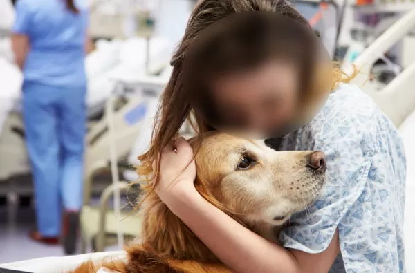 Saiba qual a importância dos pets para tratamento de pacientes com câncer