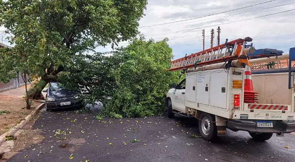 Chuva forte atinge Marília e região. Temporal provoca estragos em Ourinhos