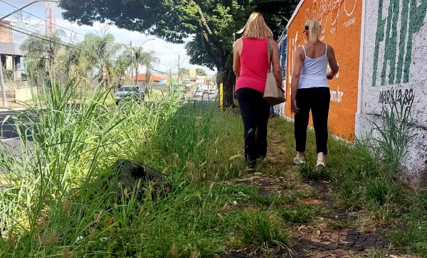 Mato toma conta de calçadas em Marília e população reclama