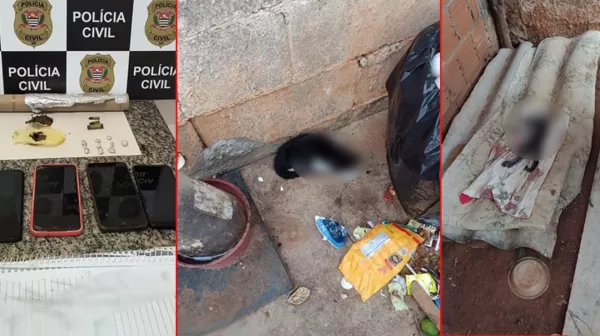 Polícia faz operação, apreende drogas e encontra animais em situação de maus tratos