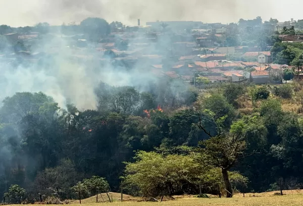 Queimada na zona norte de Marília leva escola municipal a liberar alunos