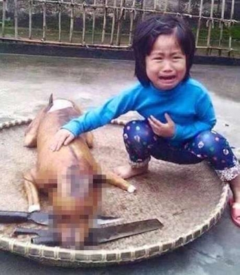 Menina de 5 anos chora ao achar seu cão assado em mercado