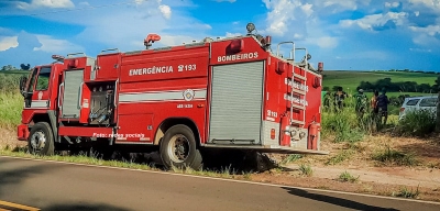 Trabalhador rural morre ao ser atacado por enxame de abelhas