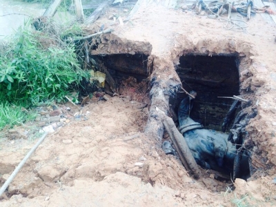  Cavalo cai em buraco após ponte ceder