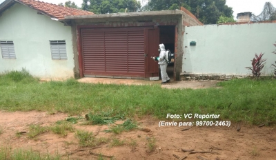 Saúde anuncia vacinação em massa após terceiro macaco morto em Marília