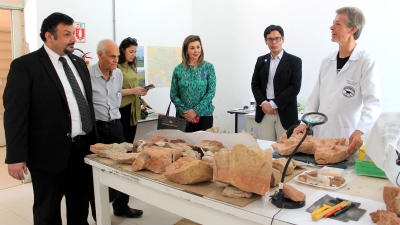 Cônsul Comercial do Egito visita Museu de Paleontologia de Marília