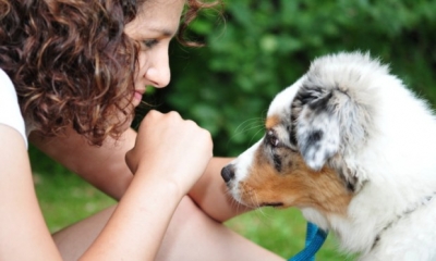 Amor entre cachorro e dono é o mesmo de mãe e filho