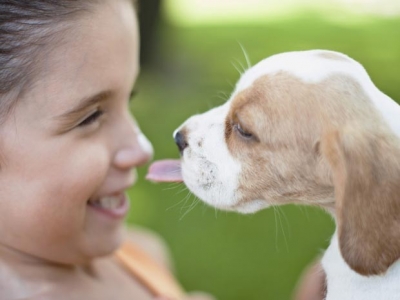 Convívio com cães reduz risco de asma 