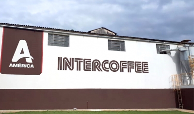 Intercoffee abre vaga para analista de comércio exterior