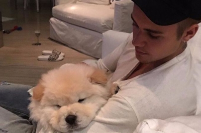 Bieber abandona cão doente que precisava de cirurgia