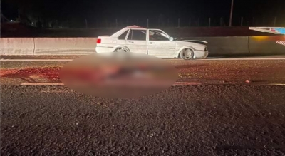 Cavalo sobre a pista provoca grave acidente na SP-294