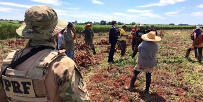 PRF e MPT fazem operação para combater trabalho escravo em fazenda na região