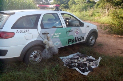 Polícia Ambiental autua pescadores 