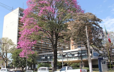 Prefeitura abre processo seletivo para estagiários