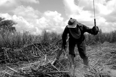 União deverá pagar seguro-desemprego a todas as vítimas de trabalho escravo resgatadas no país