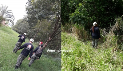 Macacos: grupo Anjos da Guarda faz buscas em Marília