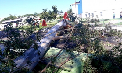 Após morte de adolescente, prefeito determina corte de árvores em praça