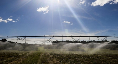 Termina hoje prazo para produtores aderirem ao Refis Rural