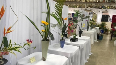 Exposição de Ikebana será umas das atrações da Japan Fest 