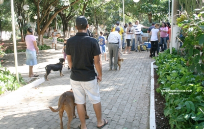 Começa hoje vacinação antirrábica, pela zona norte 