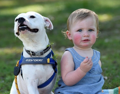 Amizade entre cadelinha de três patas e menina que nasceu com um braço