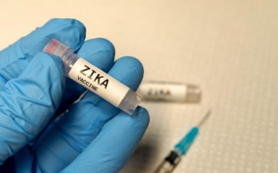 Vacina contra zika começa a ser testada em humanos