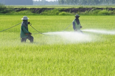 Uso de agrotóxicos cresce mais de 2 vezes e meia em 10 anos