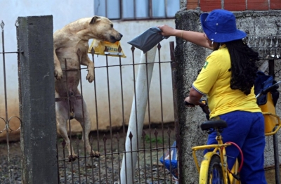 Incentivo a prevenção ao ataque de cães