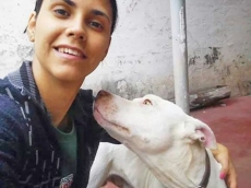 Parceria: deficiência auditiva adota                        pit bull surda