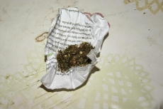 Mãe encontra maconha na bolsa da filha e chama a PM 