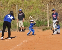 Esporte: Softbol e Beisebol        no Nikkey