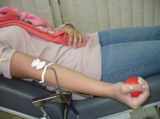 A importância de doar sangue