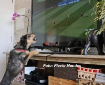 Segura coração! Jogo vai para prorrogação